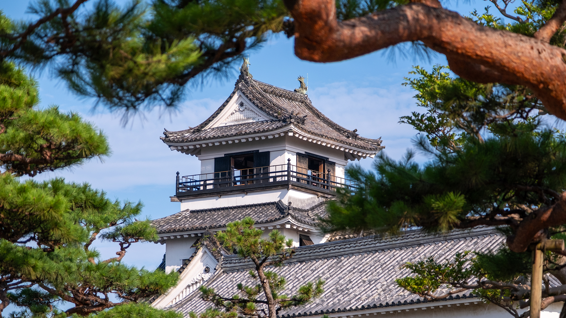 Kochi Castle - TokyoStreetView